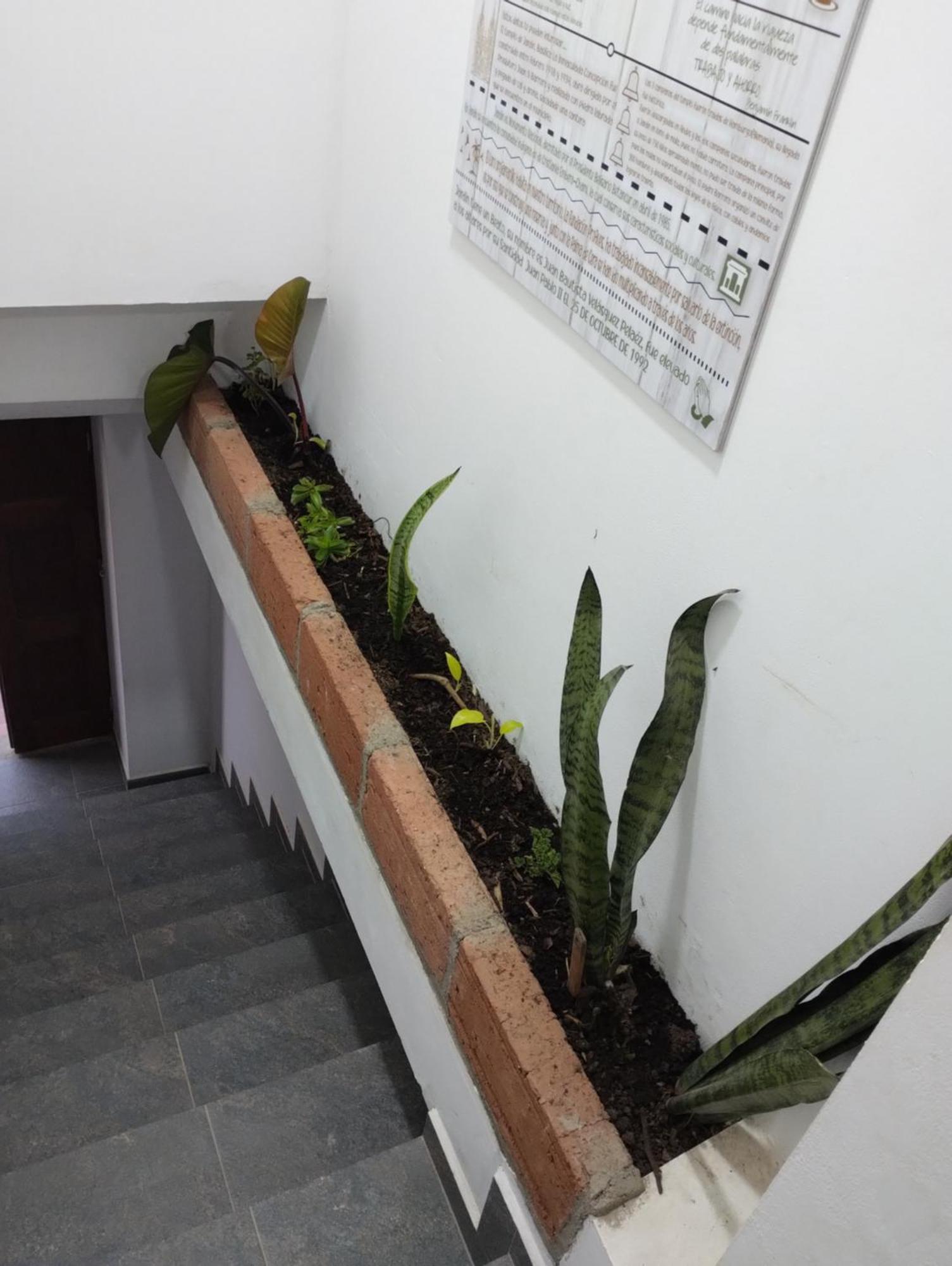 Montesco Appartement Jardín Buitenkant foto